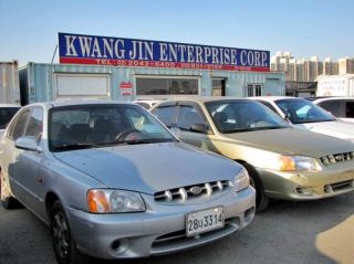 Our Yard