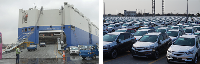 Get help from the auto expert.