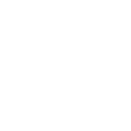 Autowini Specialist Program (ASP)