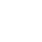 Autowini Specialist Program (ASP)