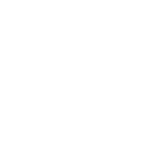 Autowini Specialist Program (ASP)