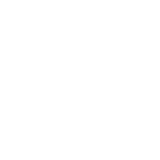 Autowini Specialist Program (ASP)